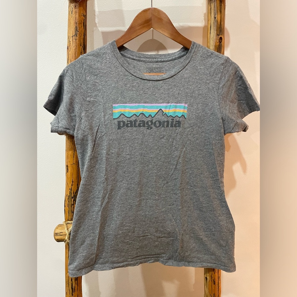 Patagonia Graphic Tee